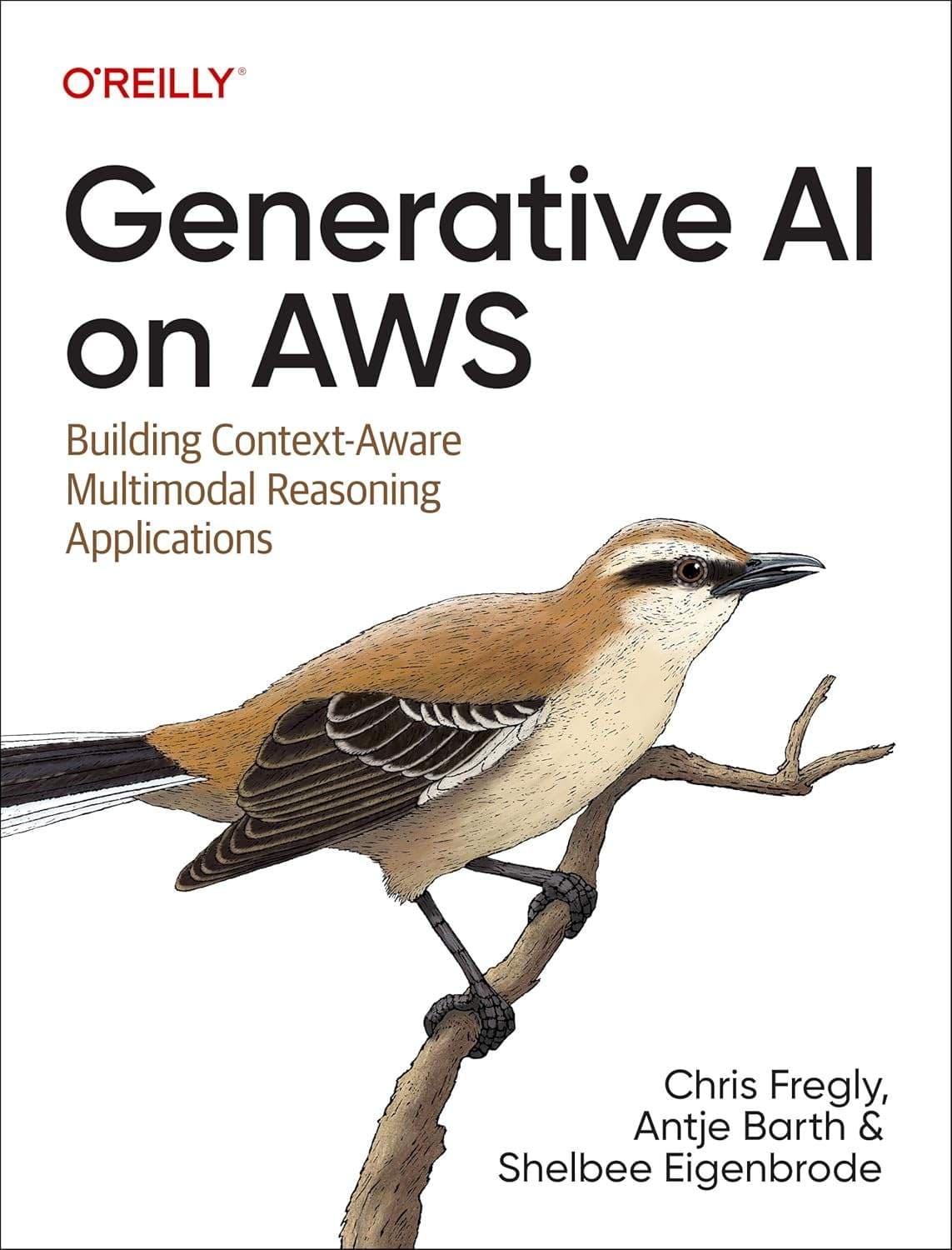 Generative AI on AWS: Building Multimodal Generative AI Applications
